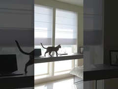 100% Πολυεστέρας Μαύρος Roller Blinds Ρωμαϊκό ύφασμα για τη θεραπεία παράθυρο